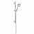 Душевой гарнитур Grohe Rainshower Icon 27529000