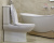 Унитаз Villeroy&Boch My Nature Plus 5611 10R1 с бачком 5710 11R1