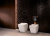 Сиденье для унитаза Villeroy&Boch Venticello 9M79S101