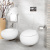 Унитаз Villeroy&Boch Pure Stone 5670 10 подвесной Унитаз Villeroy&Boch Pure Stone 5670 10 подвесной