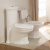 Унитаз Villeroy&Boch Amadea 7695 10R1 крышка микролифт Унитаз Villeroy&Boch Amadea 7695 10R1 крышка микролифт