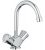 Тюльпан  COSTA- L 2-х рукий GROHE 21374 001