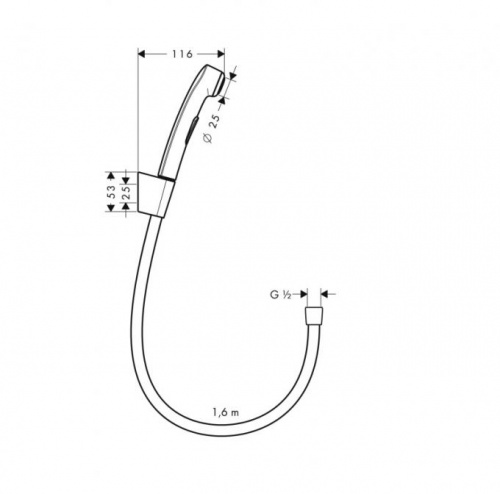 Hansgrohe 32128000 Гигиенический душ, со шлангом 1,60 м и держателем, 1/2