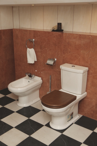 Унитаз Villeroy&Boch Hommage 666210R1 / 772111R1