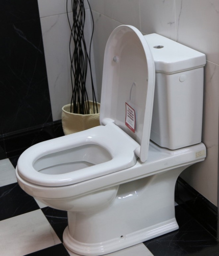 Унитаз Villeroy&Boch Hommage 666210R1 / 772111R1