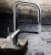Смеситель Grohe Minta 32488000 для кухонной мойки Смеситель Grohe Minta 32488000 для кухонной мойки