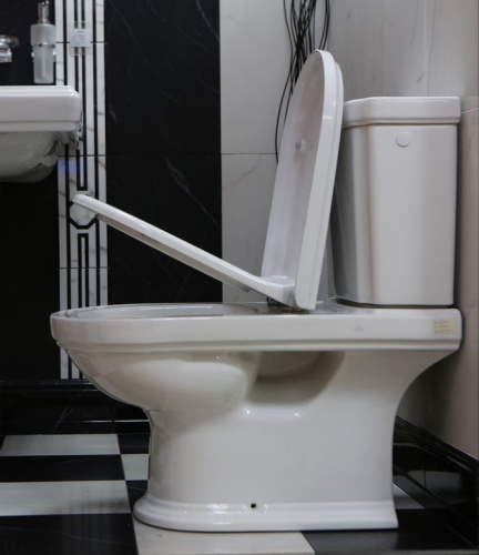 Унитаз Villeroy&Boch Hommage 666210R1 / 772111R1