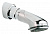 Верхний душ Grohe Тop2 DUAL 28190 000